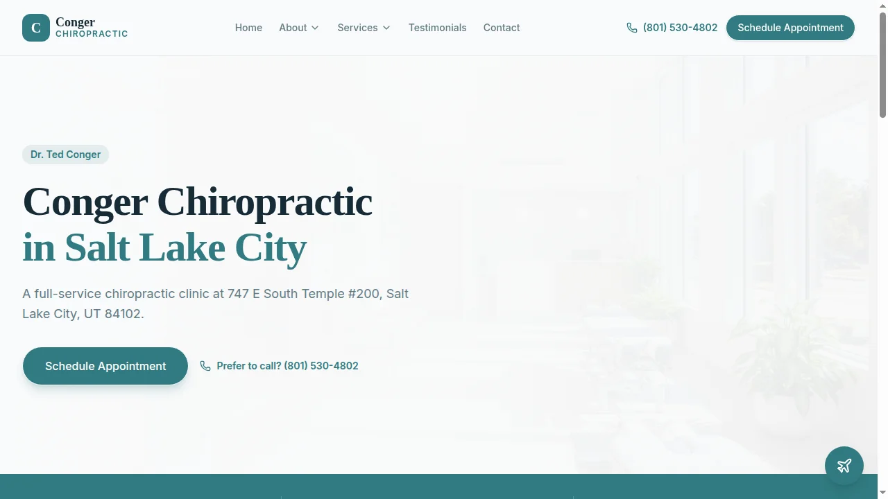 Chiropractic sample preview 2 website preview
